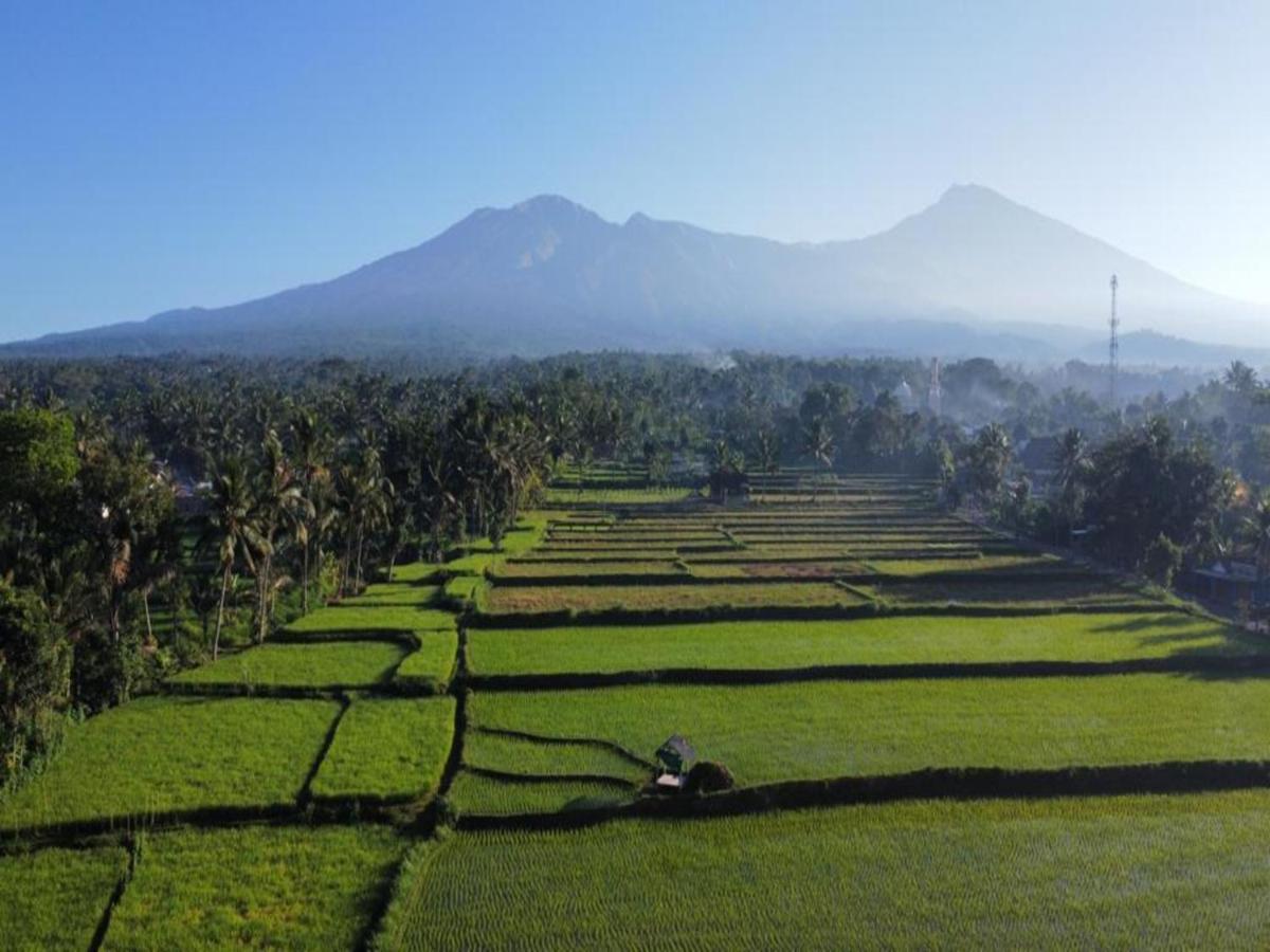 Jonny'S Places Tetebatu Luaran gambar