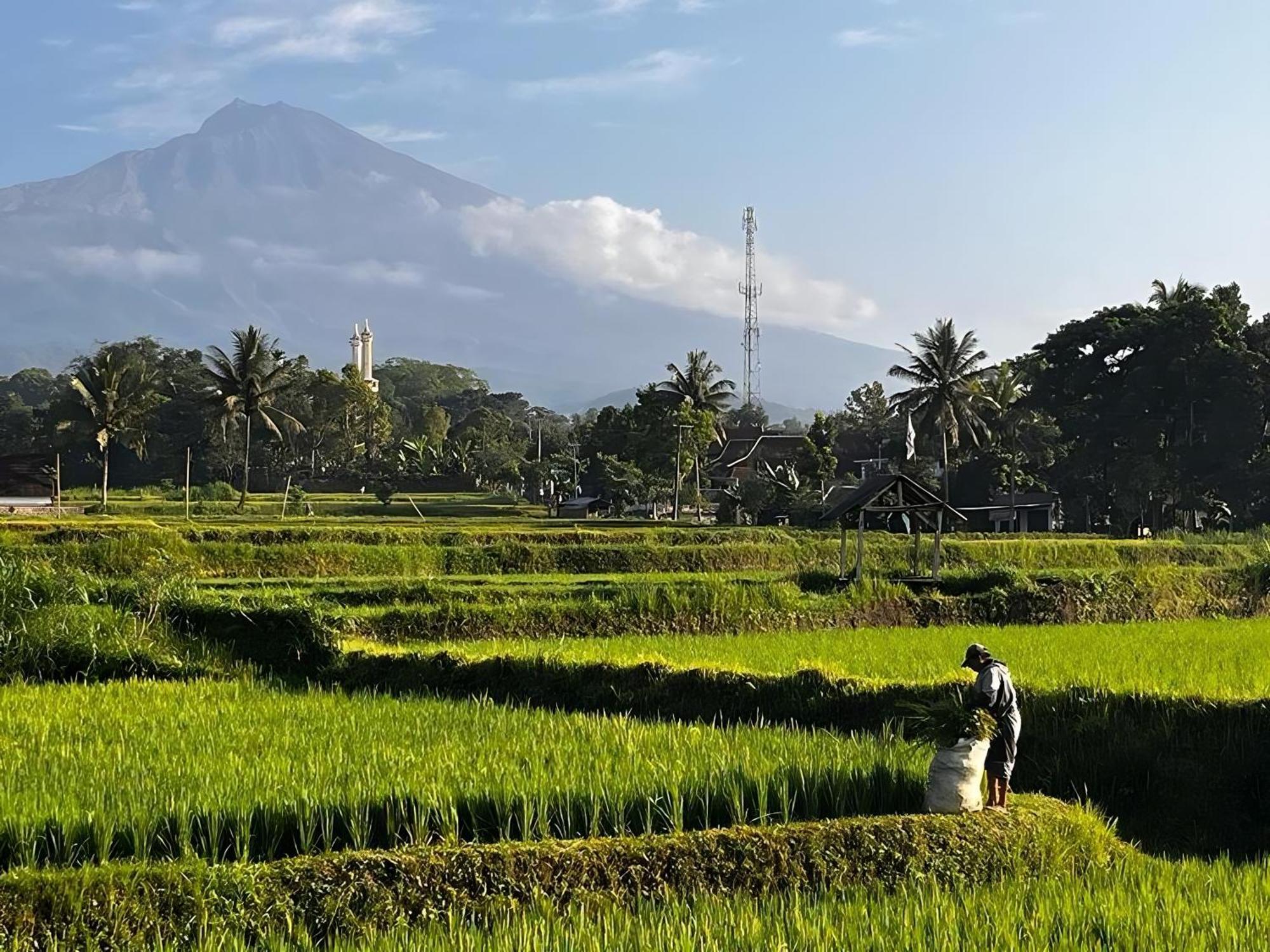Jonny'S Places Tetebatu Luaran gambar