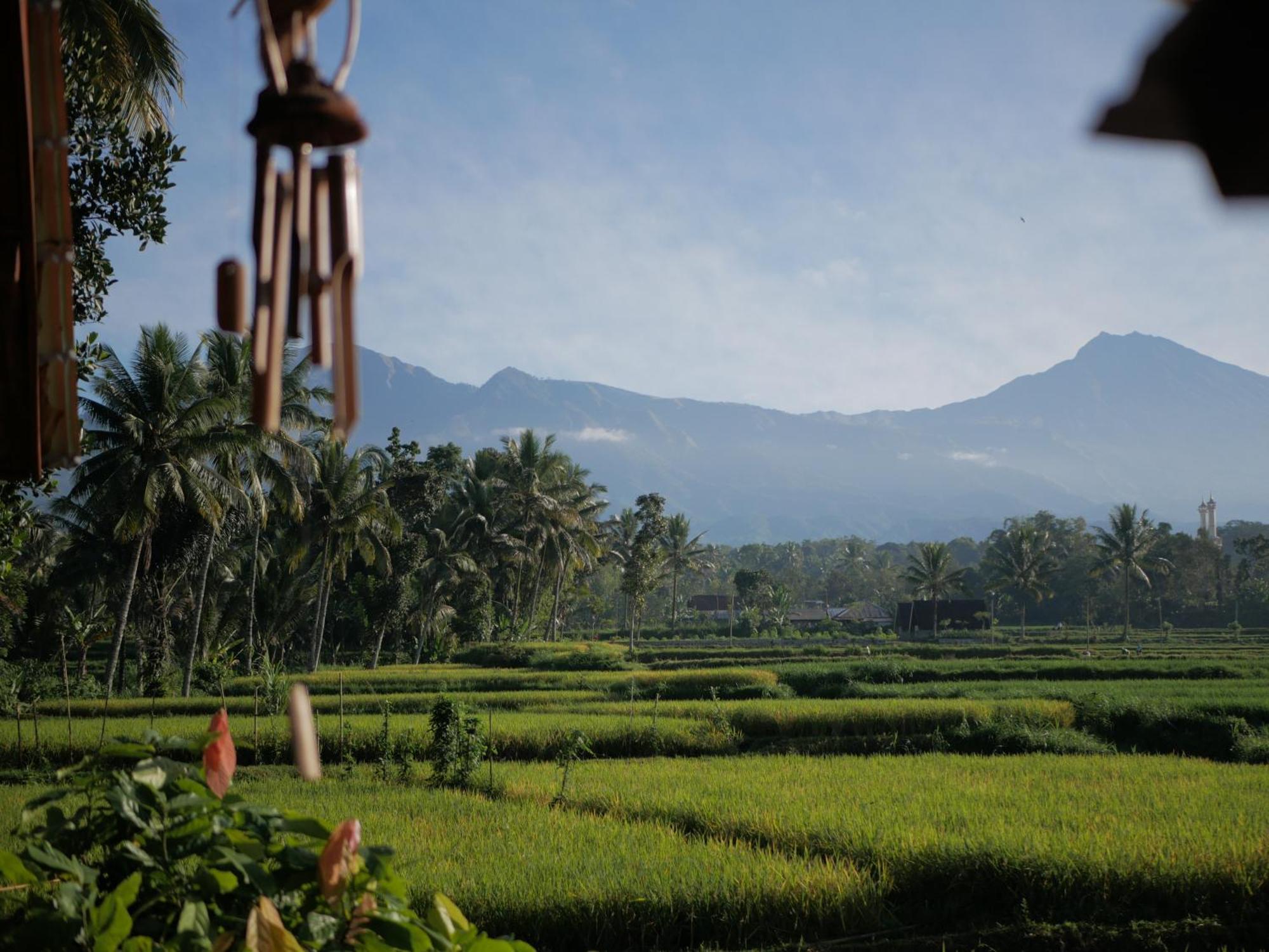 Jonny'S Places Tetebatu Luaran gambar